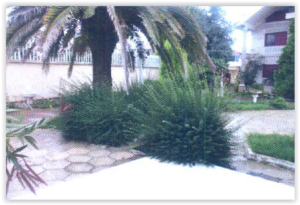 1458127198_Screen_Shot_03-16-16_at_12.18_PM_002